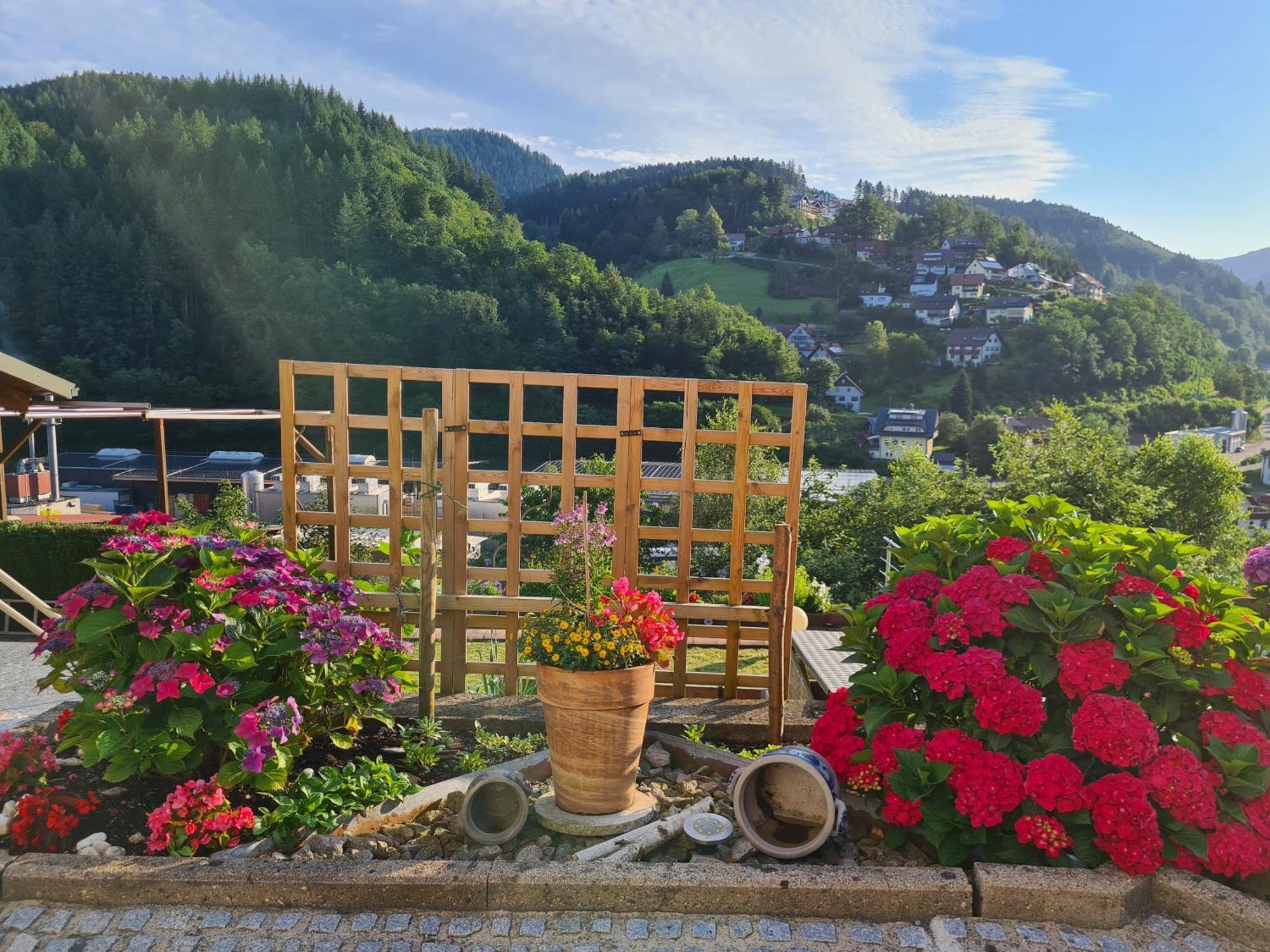 Ferienwohnung Schwarzwaldsteig Bad Peterstal-Griesbach Exteriör bild