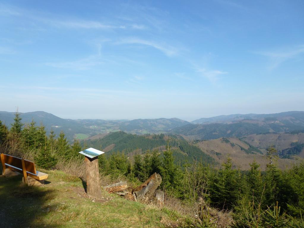 Ferienwohnung Schwarzwaldsteig Bad Peterstal-Griesbach Exteriör bild