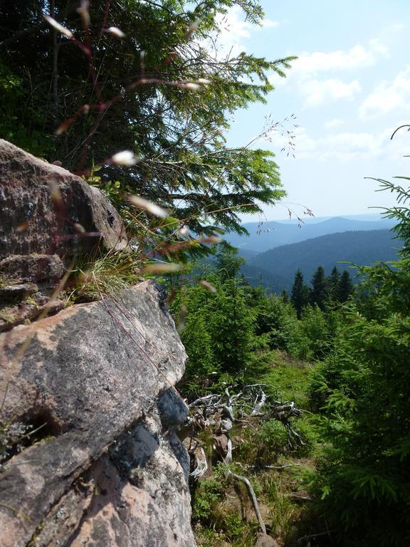 Ferienwohnung Schwarzwaldsteig Bad Peterstal-Griesbach Exteriör bild