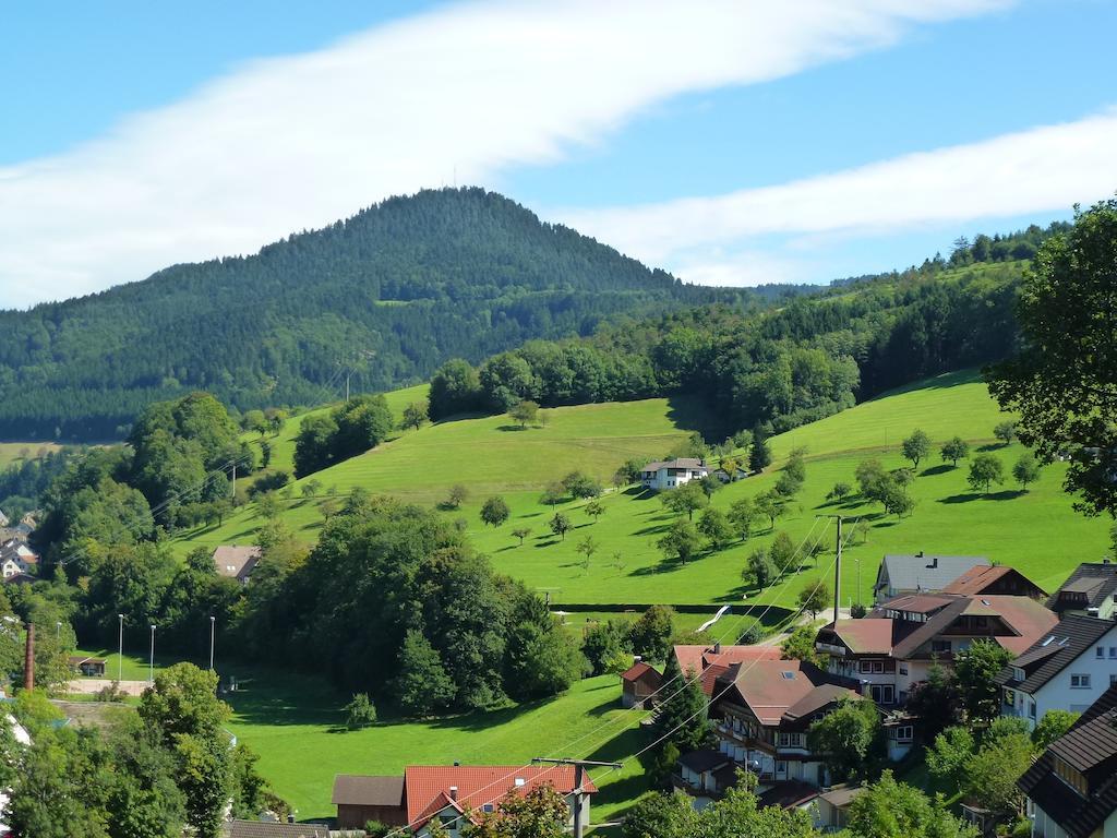 Ferienwohnung Schwarzwaldsteig Bad Peterstal-Griesbach Exteriör bild